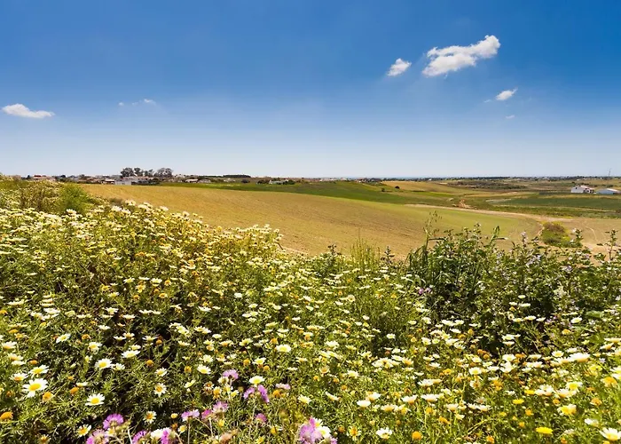 Bellavista Holiday home *